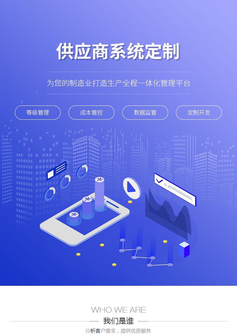 探索系统定制的魅力:满足企业多元化需求的新途径